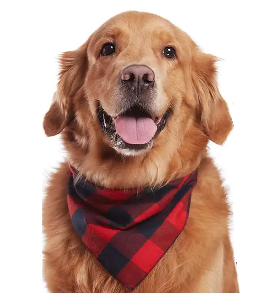 Holiday Dog Bib Bandana by Give Laugh Love®